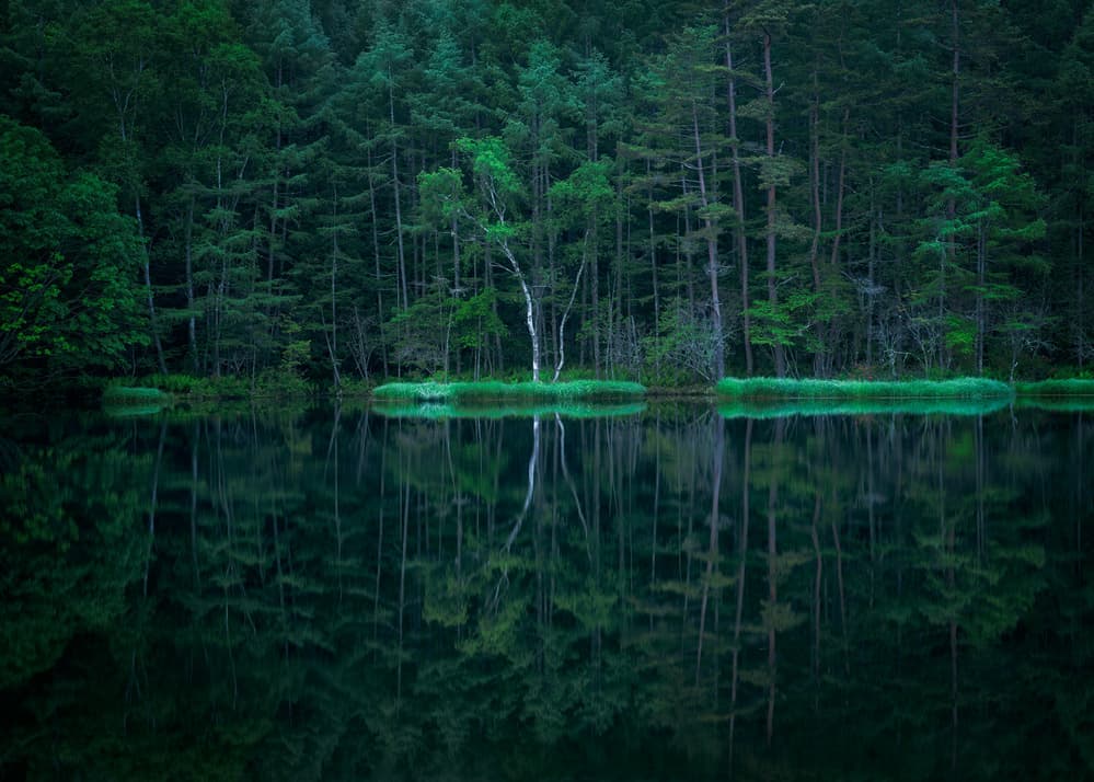 Still Forest Lake Reflection by Gerald Macua — canvas wall art