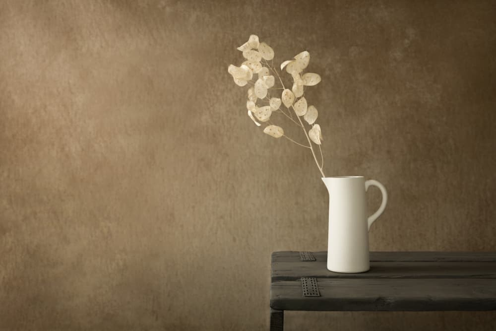 White Pitcher Dried Plant by Mayra Pama — canvas wall art