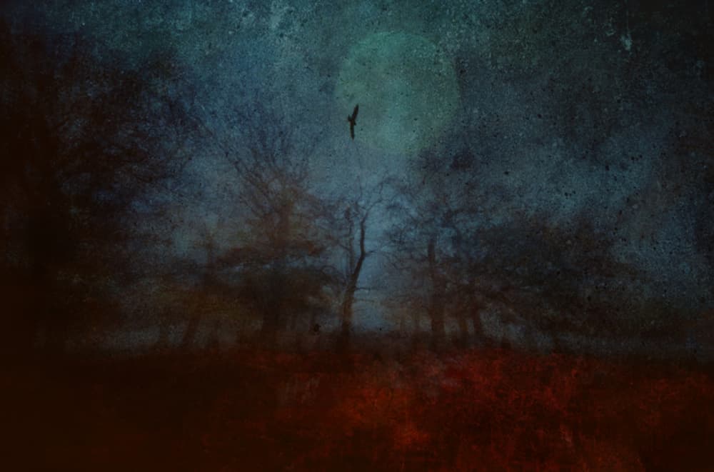 Ethereal Night Flight by Robert Fabrowski — canvas wall art
