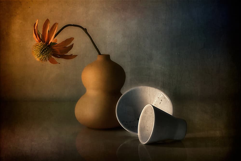 Moody Still Life Reflection by Elena Arjona — canvas wall art