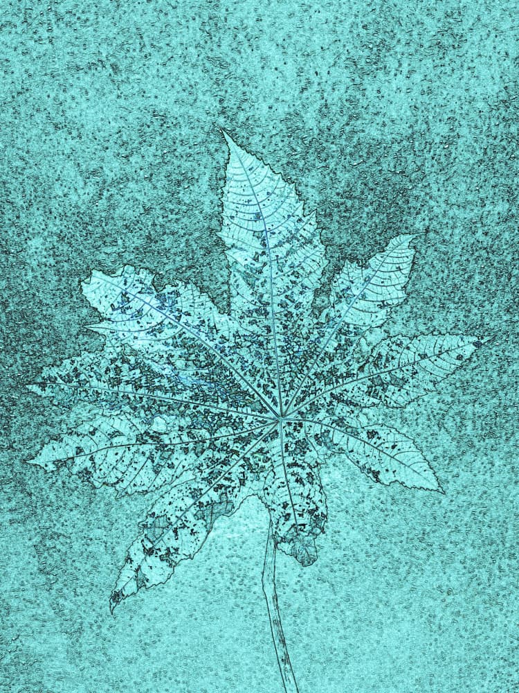 Teal Botanical Leaf by Santhosh ch — canvas wall art