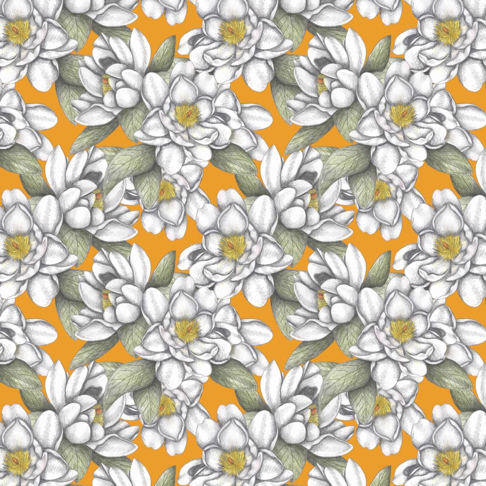 White Blooms on Orange by Cecilia Battaini — canvas wall art