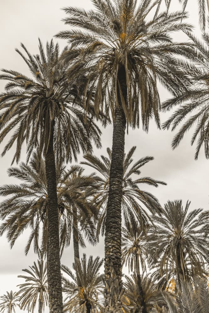 Sicilian Memories 17 by Mareike Böhmer — canvas wall art