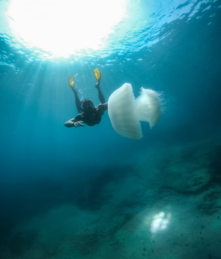 Diver And Giant Jellyfish by Hilal safarjalani — canvas wall art