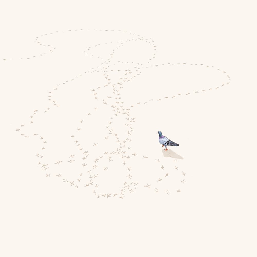 Pigeon Tracks In Sand by Jason Ratliff — canvas wall art