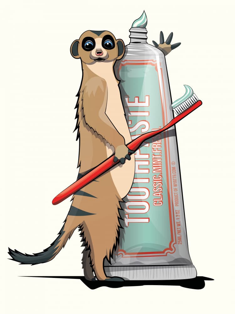 Cute Meerkat Morning Routine by In The Washroom — canvas wall art