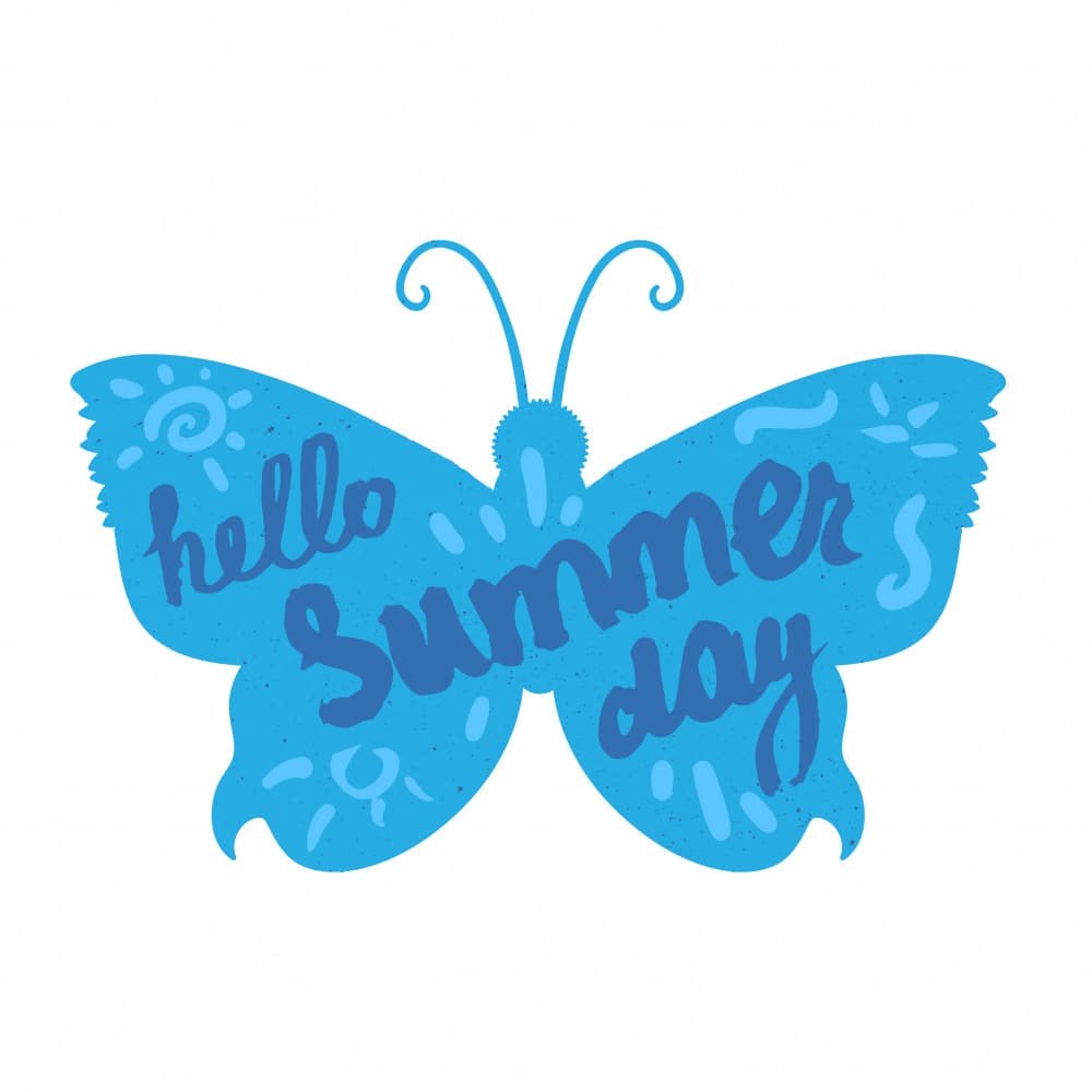 Hello Summer Butterfly by Marika Barsrsind — canvas wall art