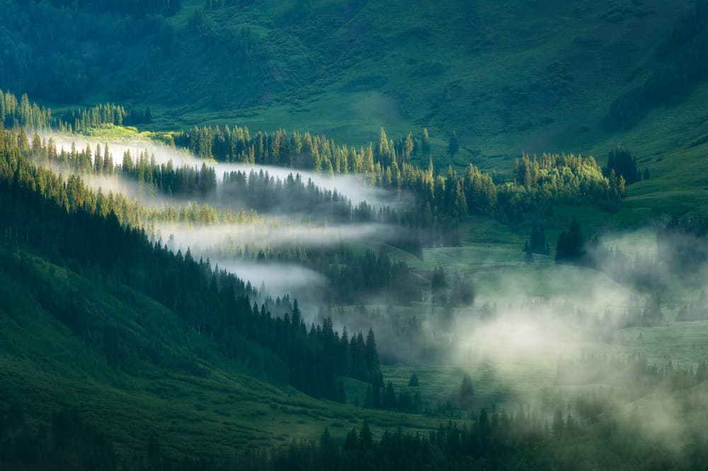 Sunlit Misty Valley by Mei Xu — canvas wall art