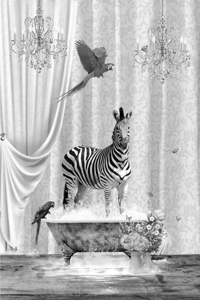 Surreal Zebra Bath by Sue Skellern — canvas wall art