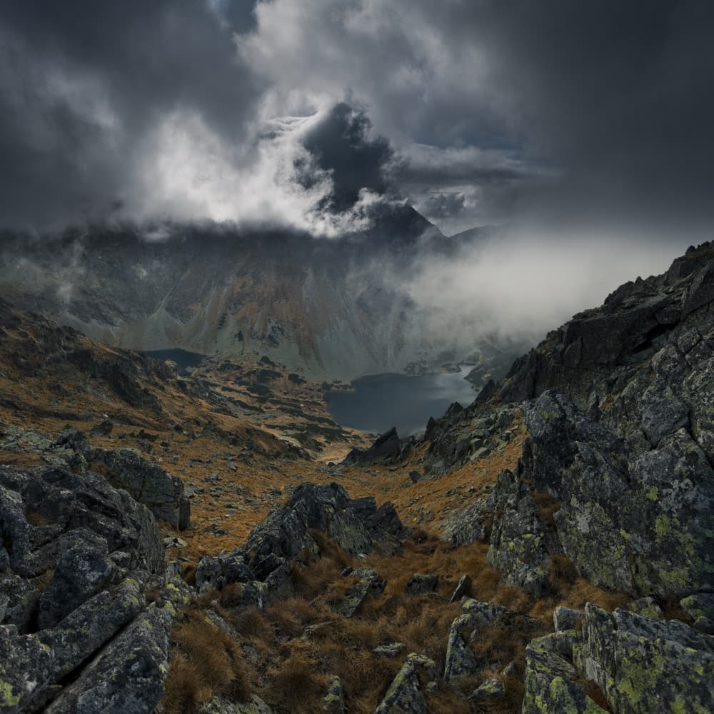 In The Valley by Karol Nienartowicz — canvas wall art