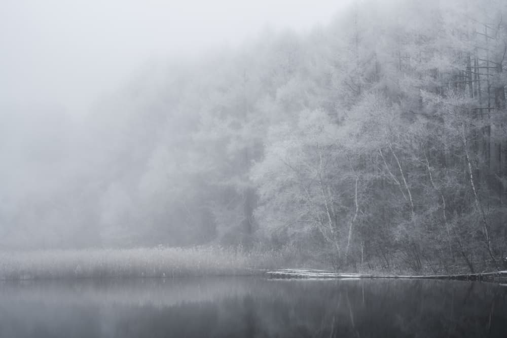Frosted Winter Lake by Syunsuke Narita — canvas wall art
