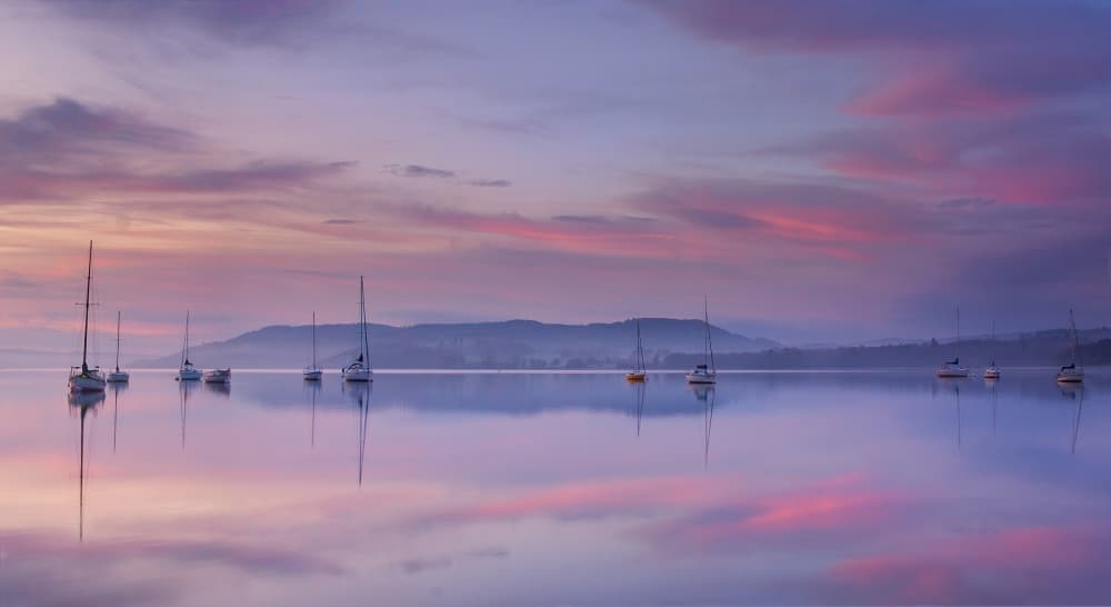 Pink Sky Sailboats by Max Witjes — canvas wall art