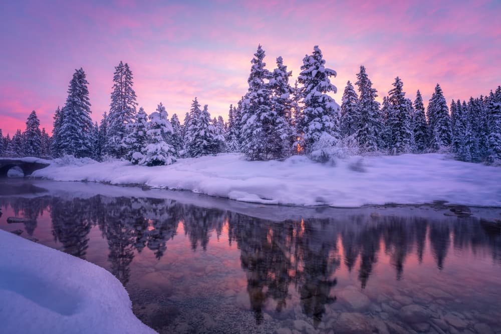 Pink Winter Reflections by Yongnan Li （李永男） — canvas wall art