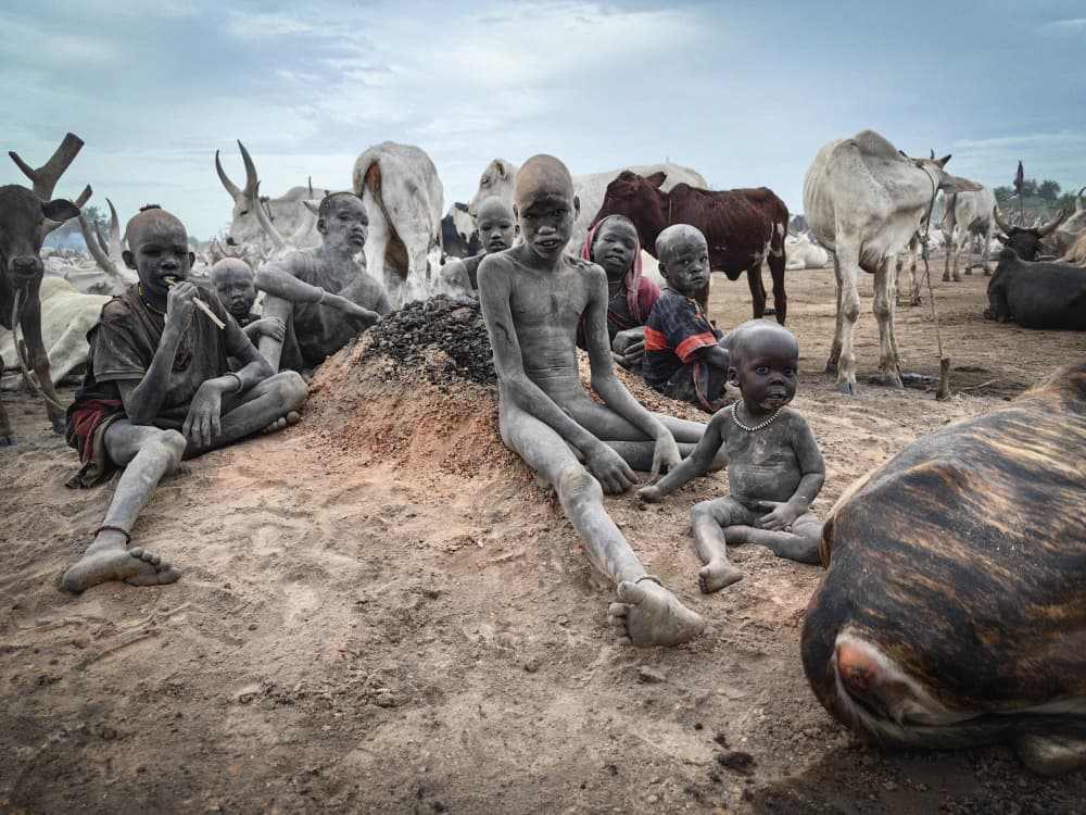 Tribal Children and Cattle by Svetlin Yosifov — canvas wall art