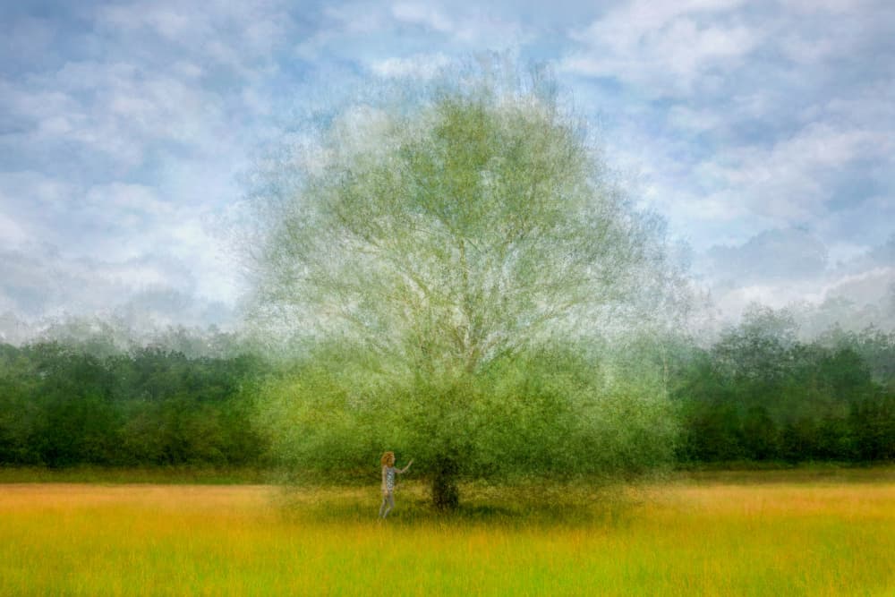 Child Under Dream Tree by Fiorenzo Carozzi — canvas wall art