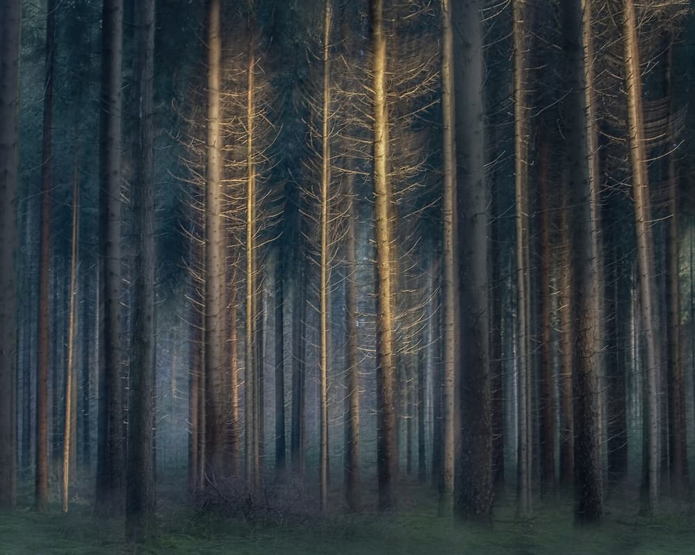In the afternoon by Nel Talen — canvas wall art