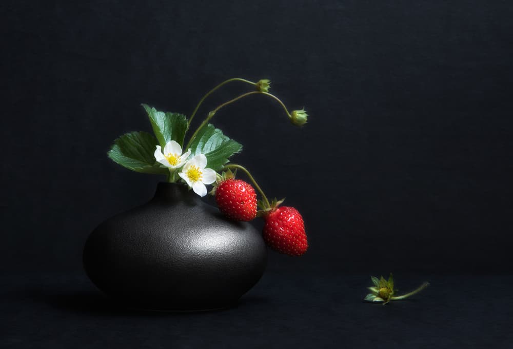 Elegant Strawberry Still Life by Aidong Ning — canvas wall art