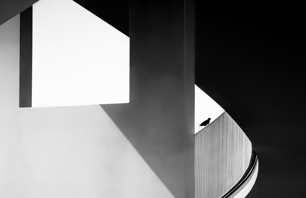 Architectural Bird Silhouette by Stephan Rückert — canvas wall art