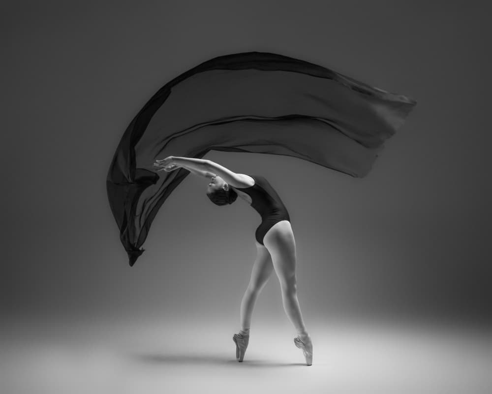 Elegant Ballet Movement by Rob Li — canvas wall art