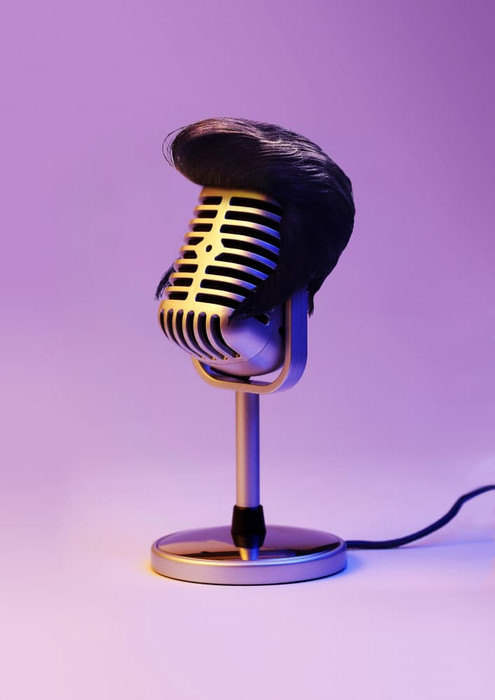 Vintage Mic With Wig by Artem Pozdniakov — canvas wall art