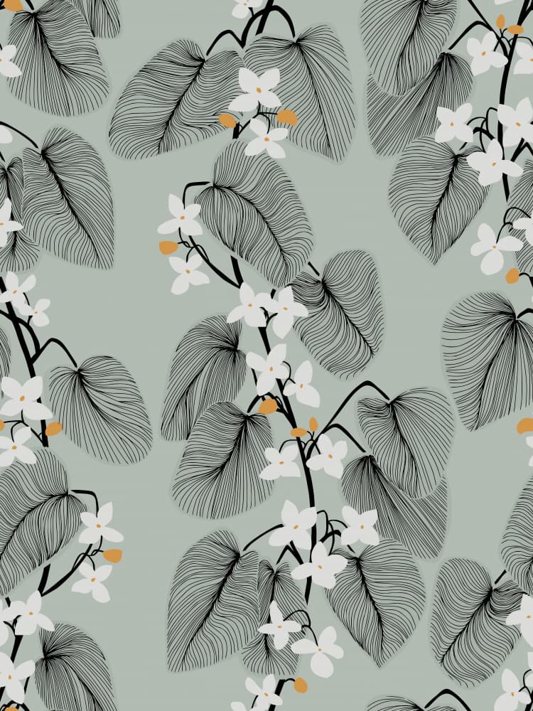 White Flowering Vines by Annick — canvas wall art