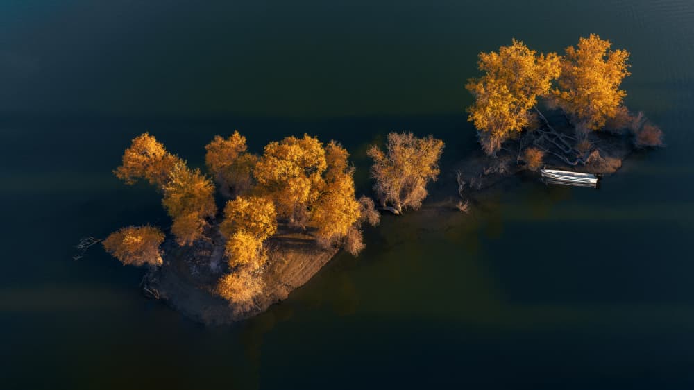 Golden Autumn Island by UU — canvas wall art
