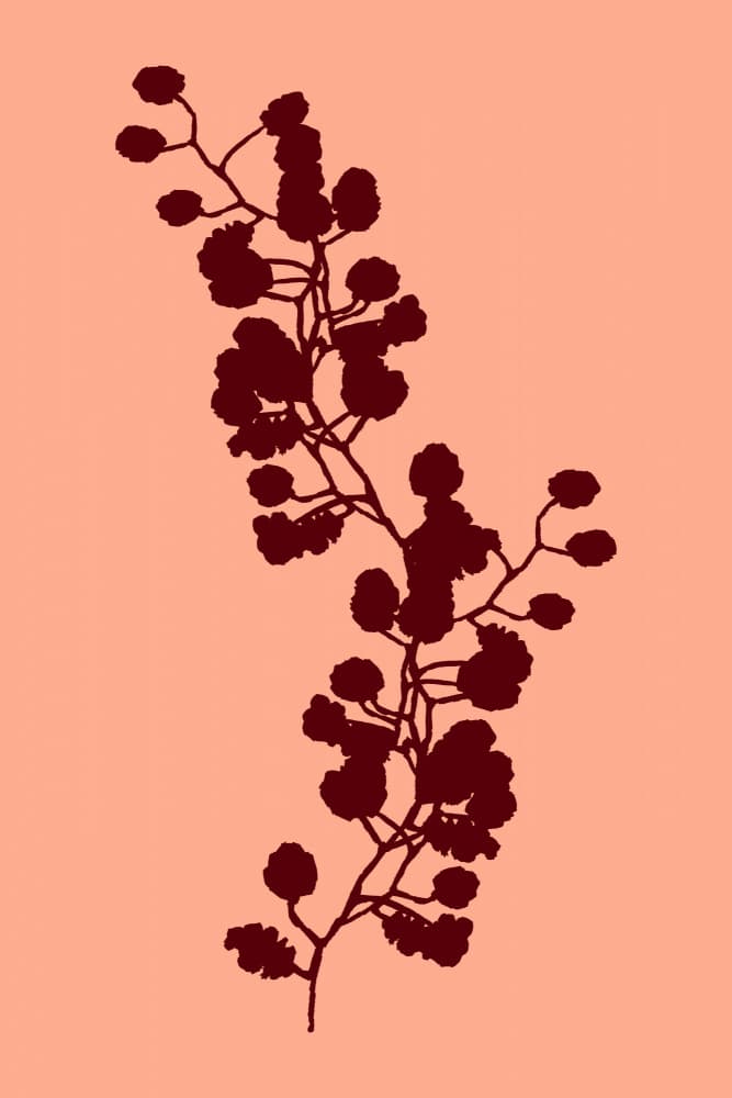 Warm Botanical Silhouette by cartissi — canvas wall art