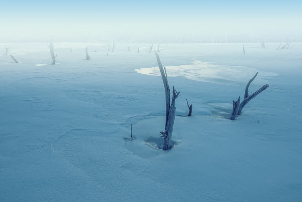 Frozen Blue Landscape by TIANQI — canvas wall art