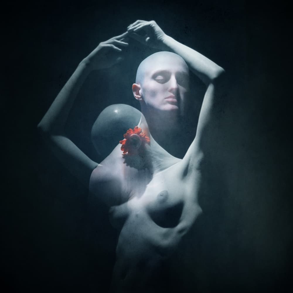 Ethereal Bloom by Yaroslav Vasiliev-Apostol — canvas wall art