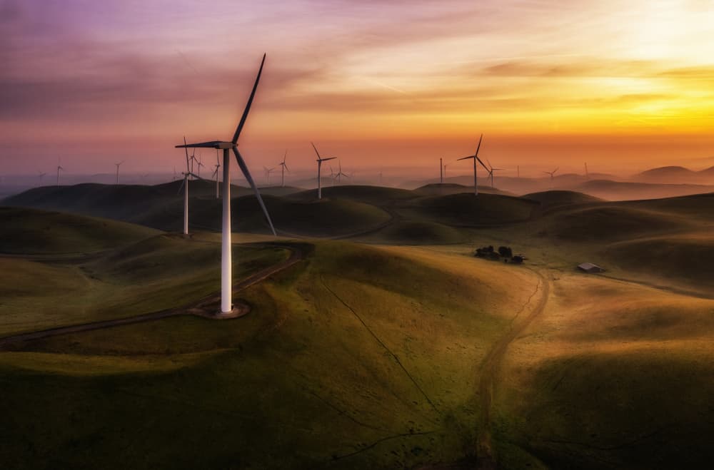 Golden Hour Wind Turbines by Jenny Qiu — canvas wall art