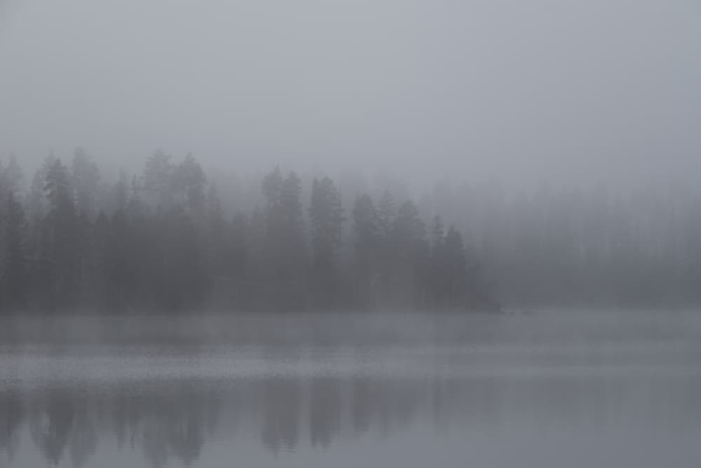 Dark Misty Forest Lake by Geertjan Plooijer — canvas wall art