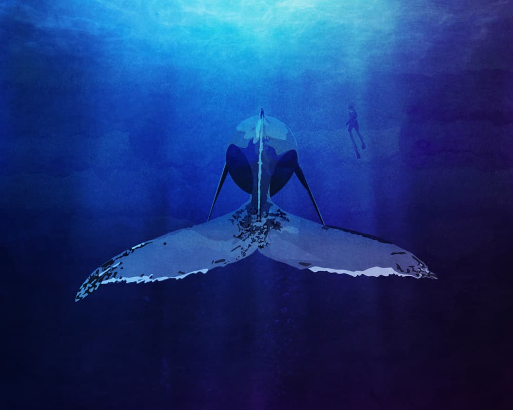 Ocean's Majesty by Emel Tunaboylu — canvas wall art