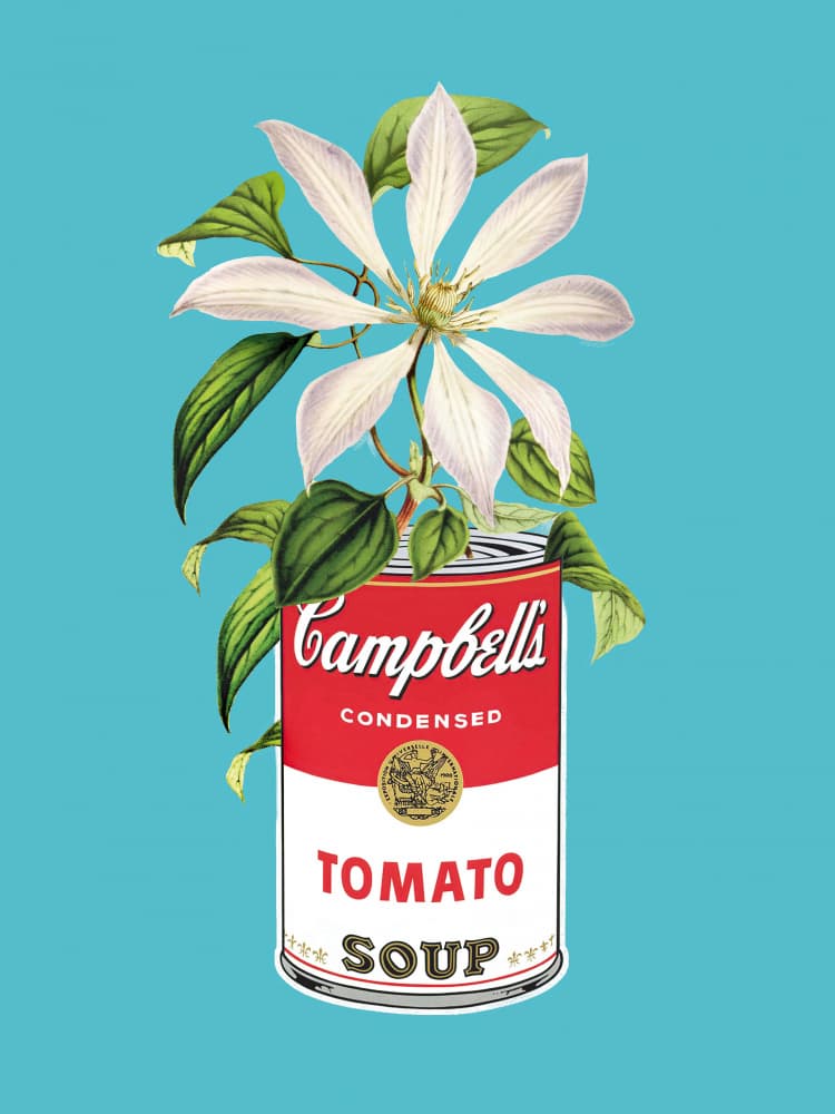 Campbells and Flowers by Dikhotomy — canvas wall art