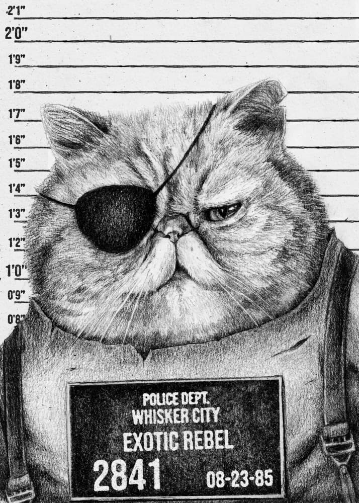 Cat With An Eye Patch by Mike Koubou — canvas wall art