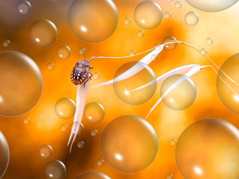 Golden Bug Bubble Dream by Thierry Dufour — canvas wall art