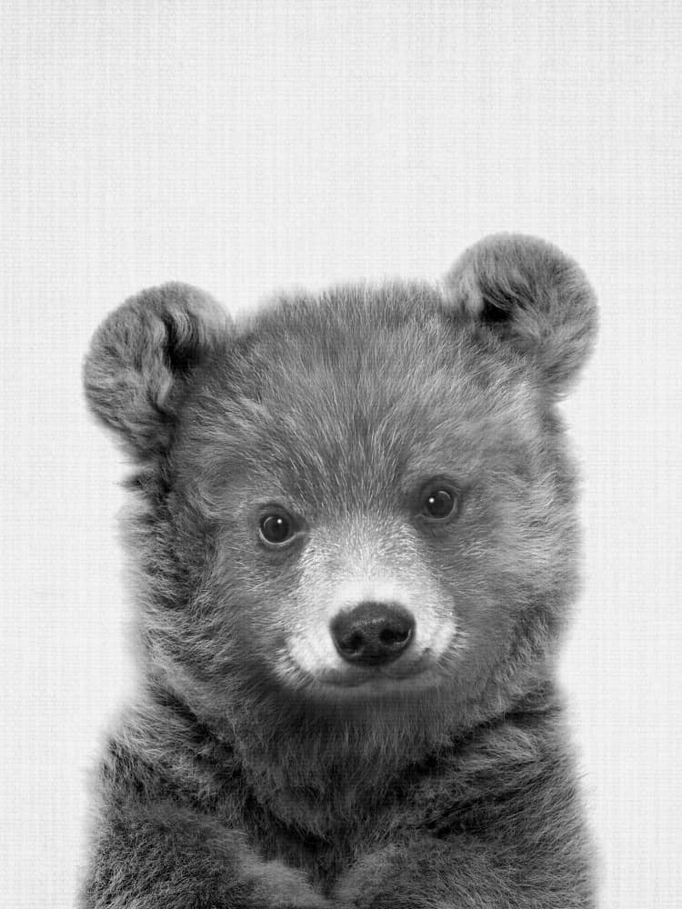 Adorable Baby Bear by Lila &amp; Lola — canvas wall art