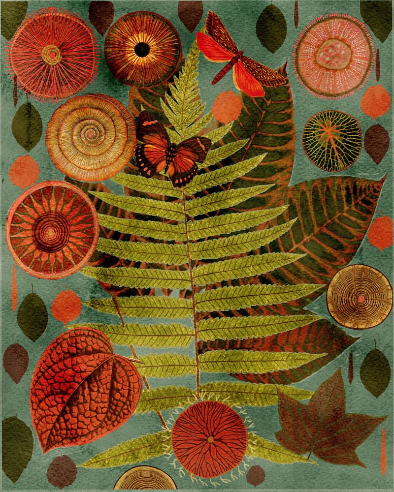Forest Fern and Butterfly by giovanna nicolo — canvas wall art