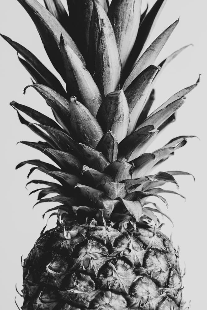 Elegant Tropical Pineapple by Pictufy Studio III — canvas wall art