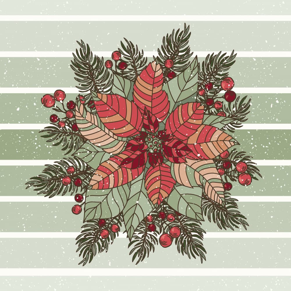 Rustic Christmas Poinsettia by Olena Kovalova — canvas wall art