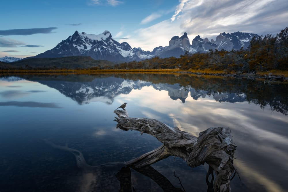 Serene Mountain Lake Bird by Yongnan Li (李永男) — canvas wall art
