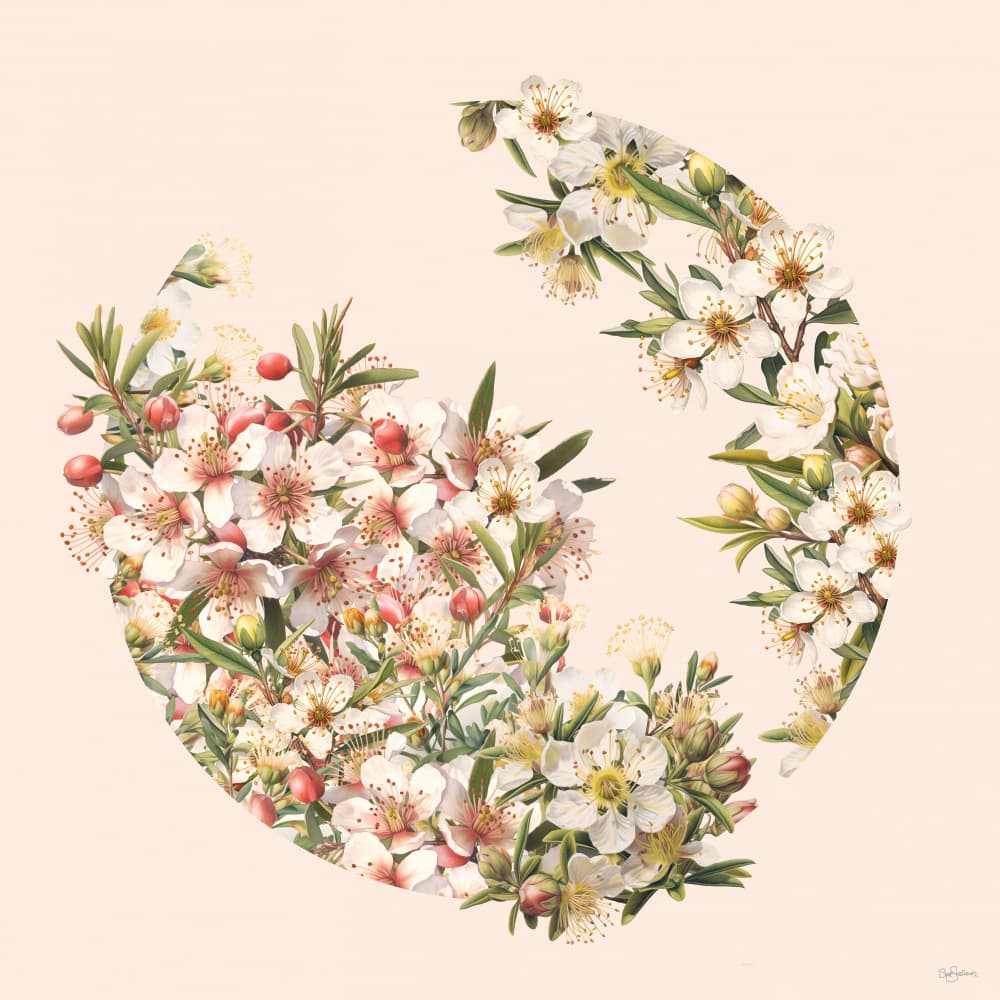Manuka by Sue Skellern — canvas wall art