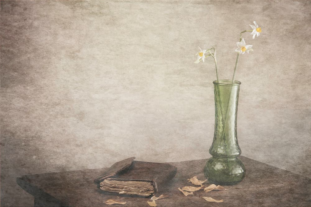 Daffodils and Old Book by Saleh Swid — canvas wall art