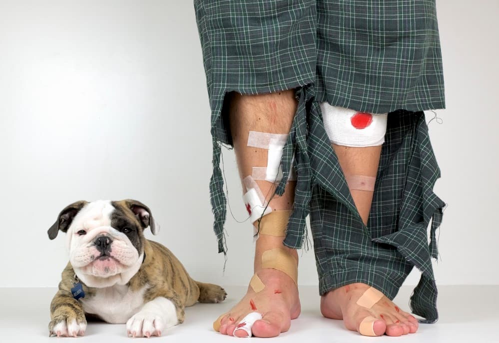 Playful Puppy Accident by Mike Melnotte — canvas wall art