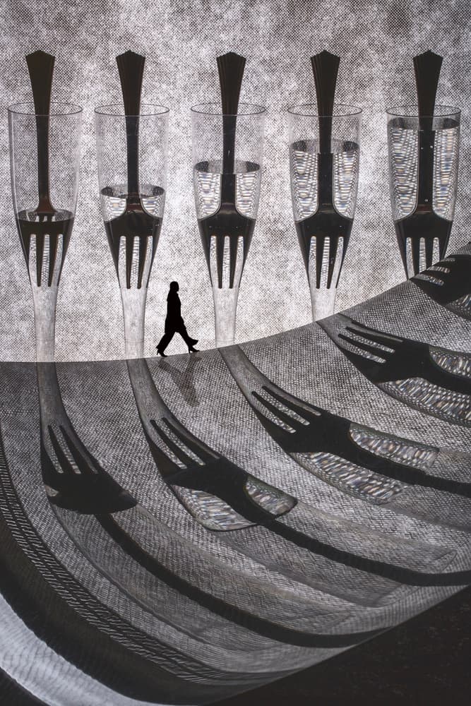Walking Among Forks by Brig Barkow — canvas wall art
