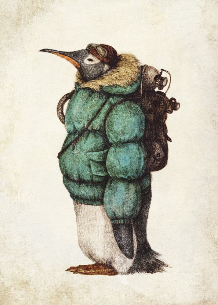 Penguin Adventurer by Mike Koubou — canvas wall art