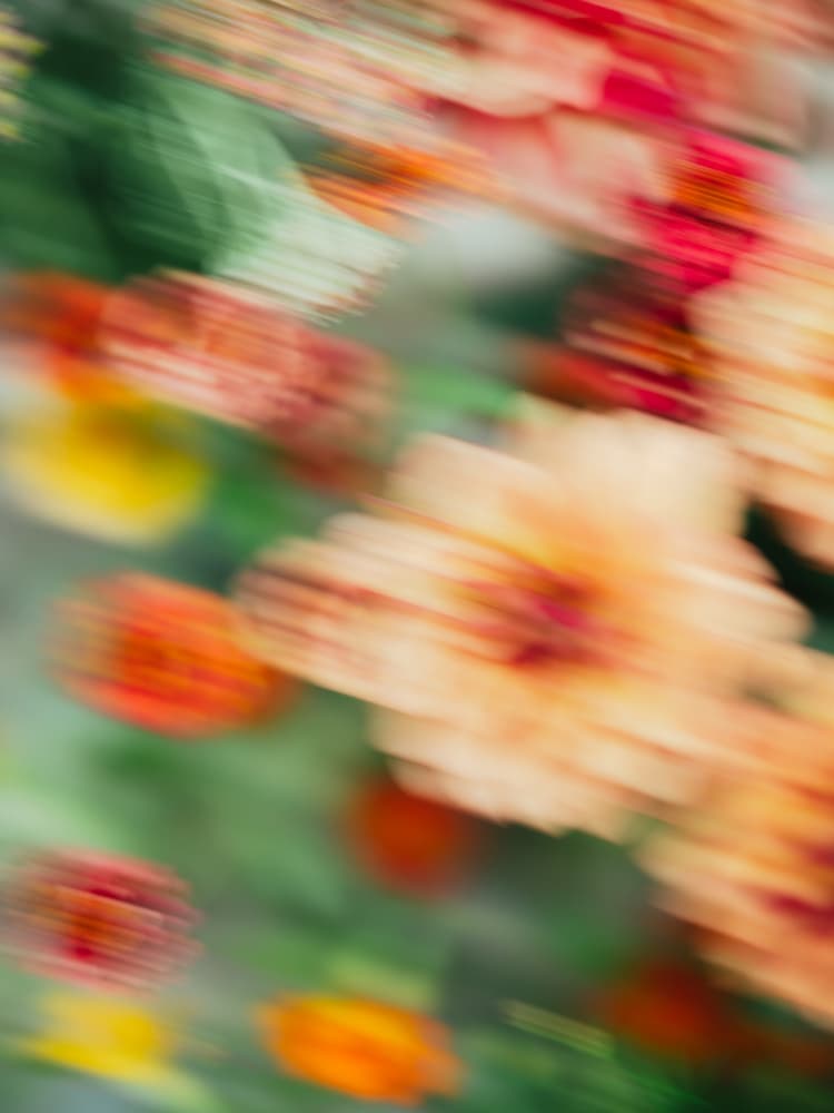 Moving Flowers 7 by Raisa Zwart — canvas wall art