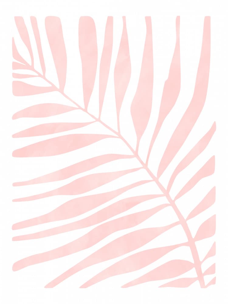 Pink Palm Leaf by Elena Ristova — canvas wall art