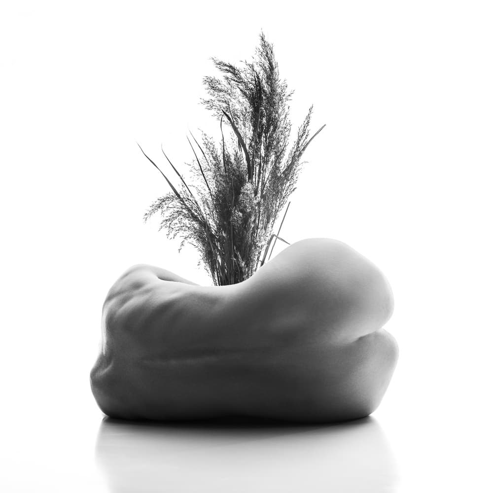 Sculptural Form Pampas Grass by AURIMAS VALEVICIUS — canvas wall art