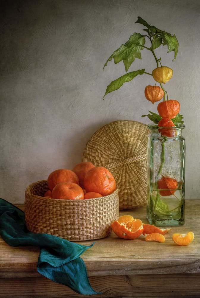 Still life with Clementines by Mandy Disher — canvas wall art