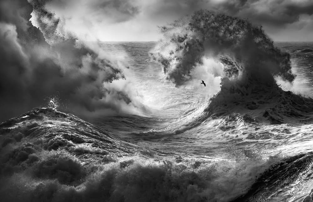 Wild Ocean Storm by Paolo Lazzarotti — canvas wall art